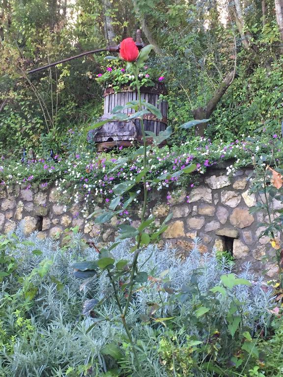 Il Casale Del Mirto Villa Vico Equense Exteriör bild