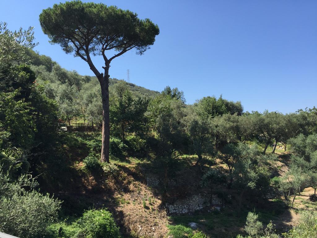 Il Casale Del Mirto Villa Vico Equense Exteriör bild